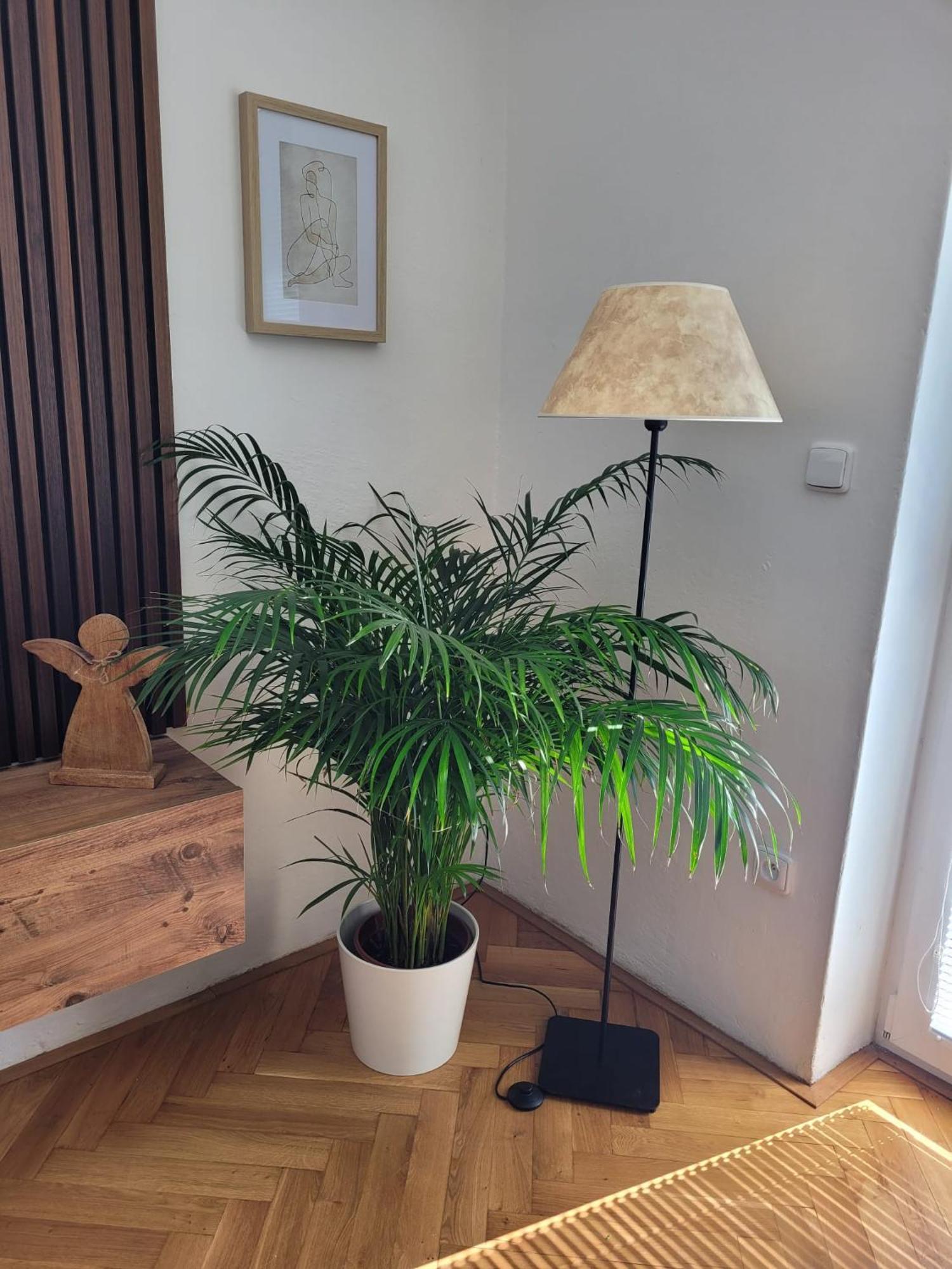 Novy Apartman Eva Jičín Exterior foto